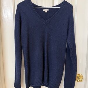 GAP Deep Navy V-Neck Sweater